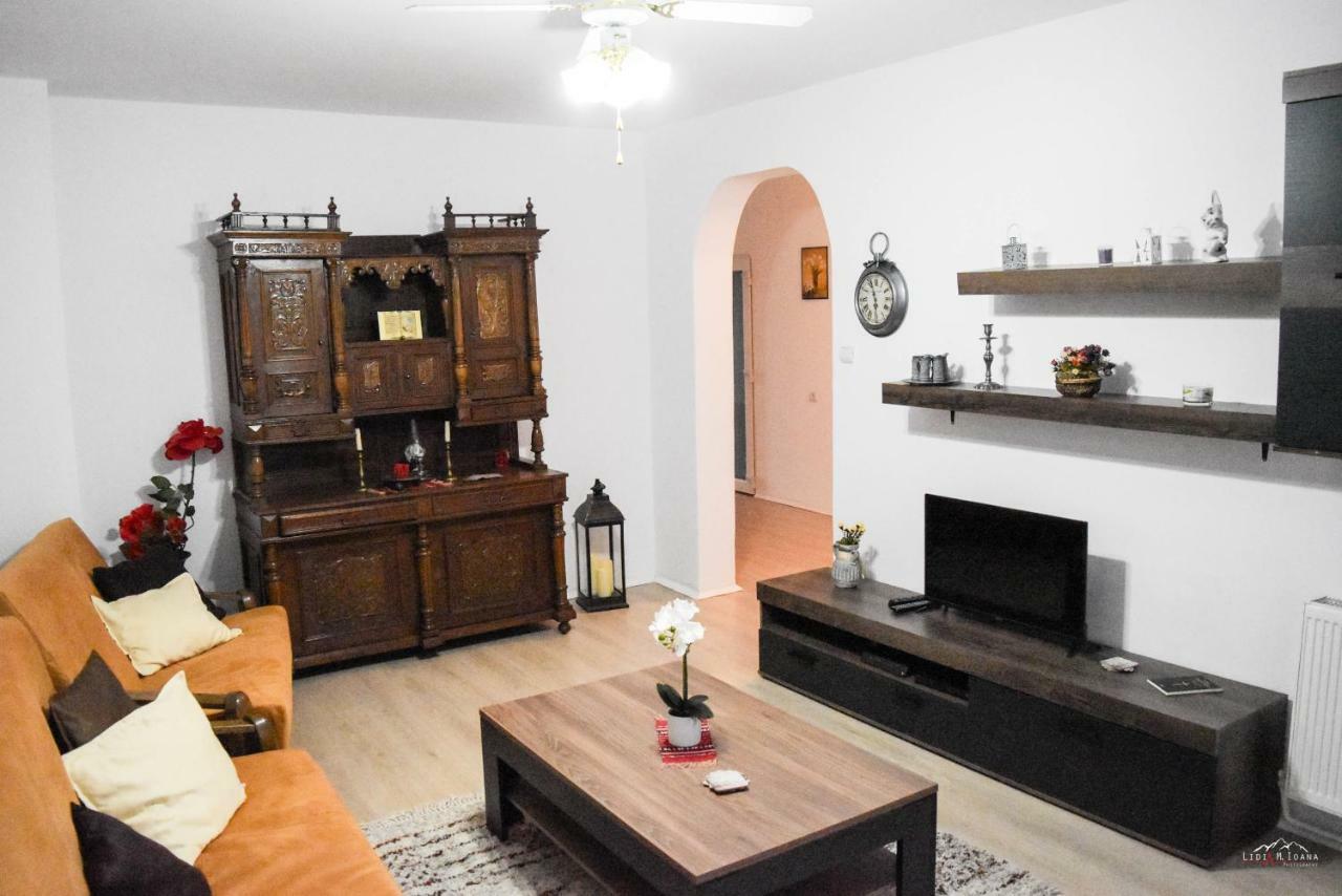 Spacious And Cozy 3Bd+Terrace Couples Apartment Timisoara Luaran gambar