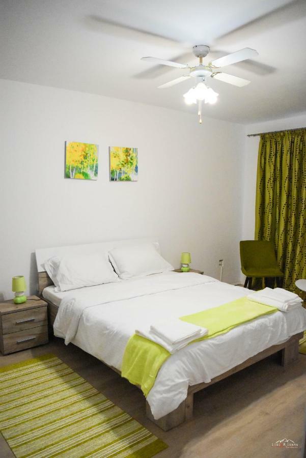 Spacious And Cozy 3Bd+Terrace Couples Apartment Timisoara Luaran gambar