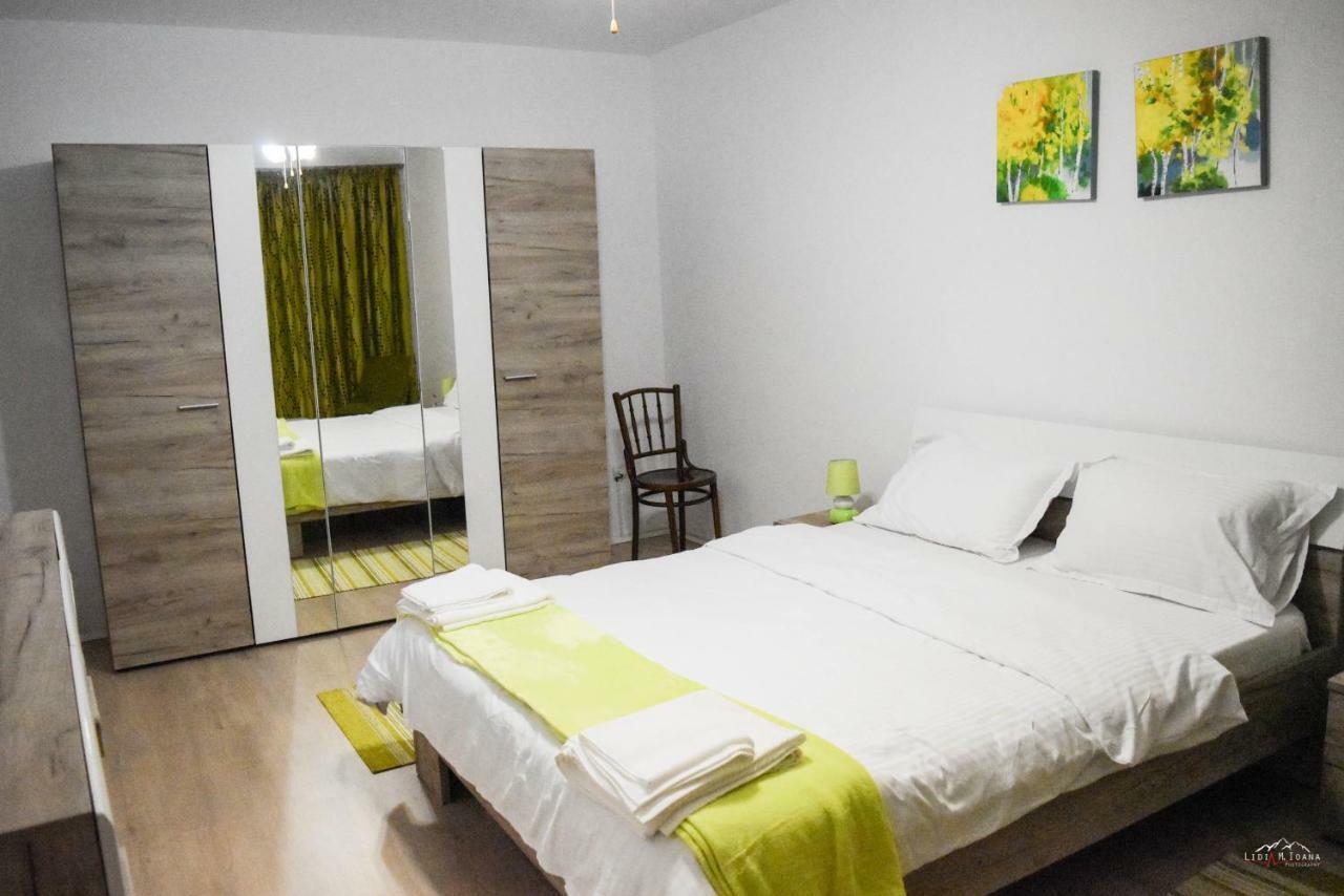 Spacious And Cozy 3Bd+Terrace Couples Apartment Timisoara Luaran gambar