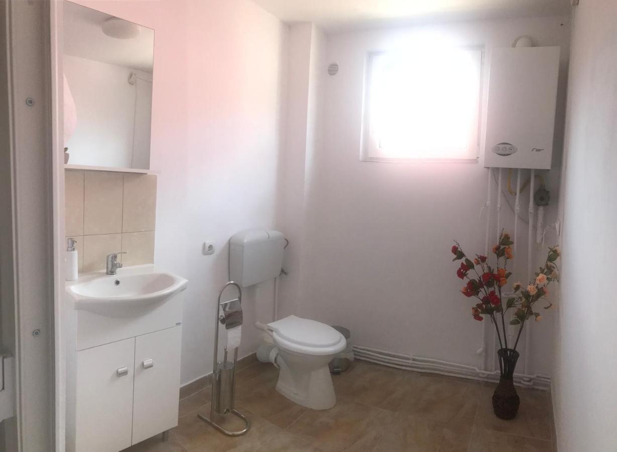 Spacious And Cozy 3Bd+Terrace Couples Apartment Timisoara Luaran gambar
